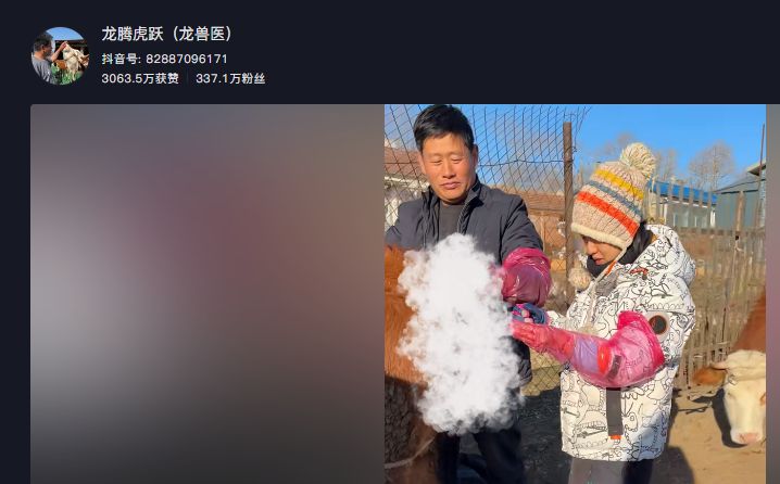 龙兽医.jpg